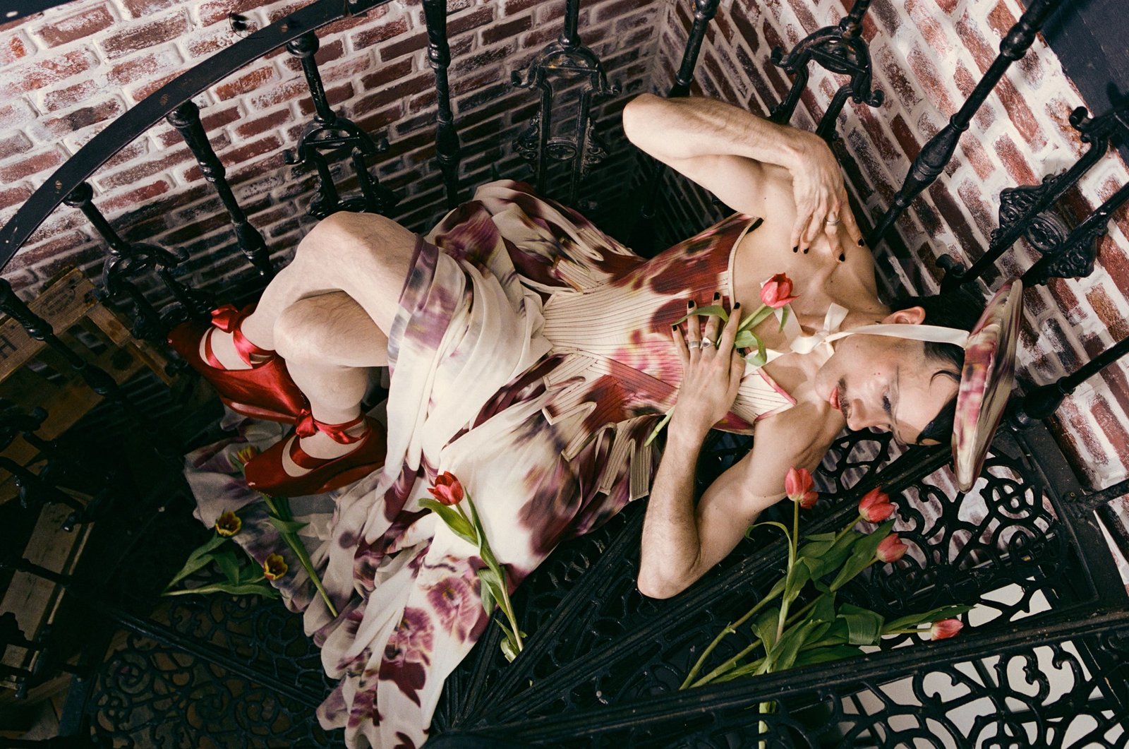 The Colour of Tulips — Botanical Cycle No. 5